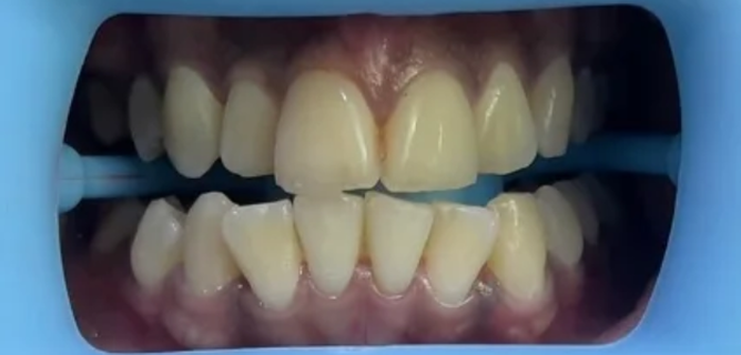 screenshot 2026 02 03 024356 1