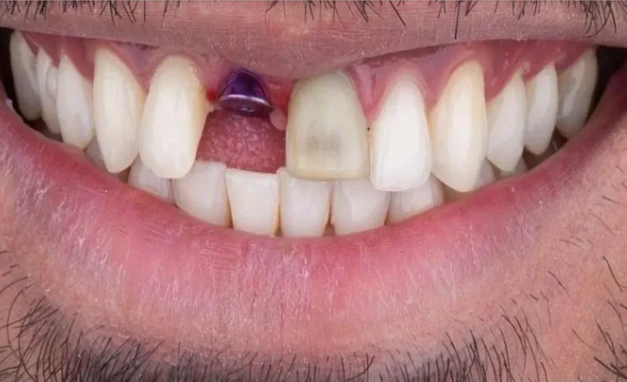 image 1 2 e1770069989891 (2)